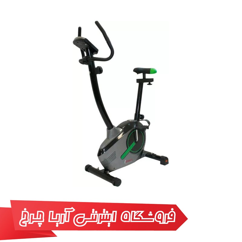 تخفیف در دوچرخه ثابت خانگی حرفه ای مدل Fitness FT-250C