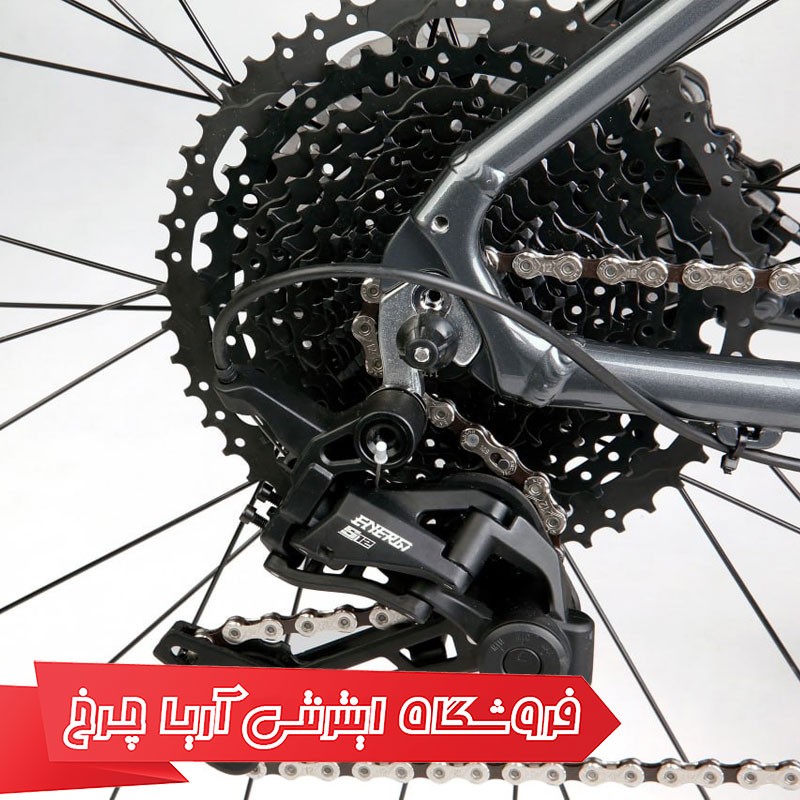 شانژمان و خودرو دوچرخه حرفه ای انرژی سایز 29 مدل Energi EXP 1