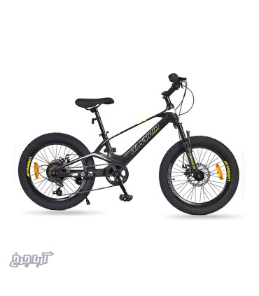 قیمت و خرید دوچرخه المپیا سایز 20 مدل Olympia 20205 Disc