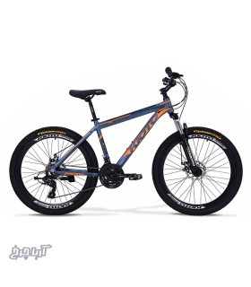 قیمت و خرید دوچرخه کوهستان کیوتو سایز 26 مدل Kioto k491-D