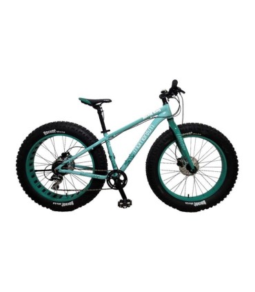 دوچرخه جاینت مدل Momentium Iride Rocker King