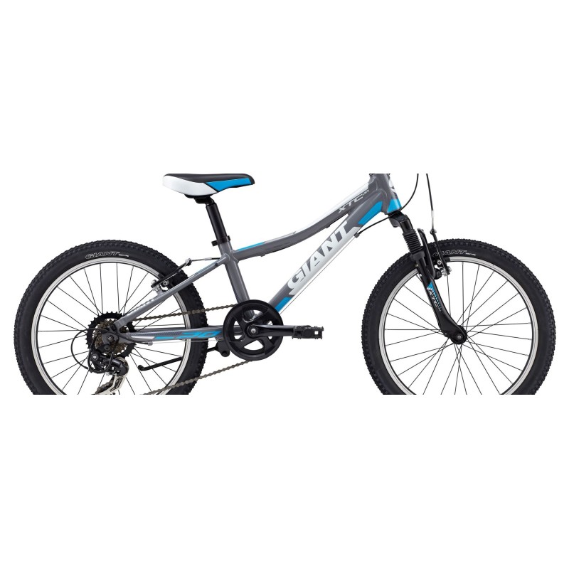 دوچرخه جاینت مدل Giant XTC JR 20 (2015)