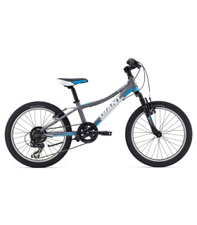 دوچرخه جاینت مدل (Giant XTC JR 20 (2015