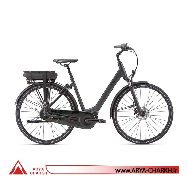 دوچرخه برقی جاینت مدل Giant ENTOUR E+ 0 LDS 2020