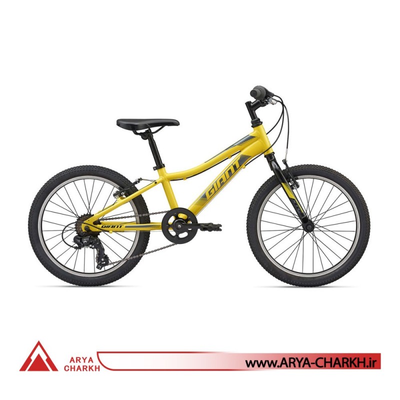 دوچرخه کوهستان کودک جاینت ایکس تی سی سایز 20 (GIANT XTC JR 20 LITE (2020
