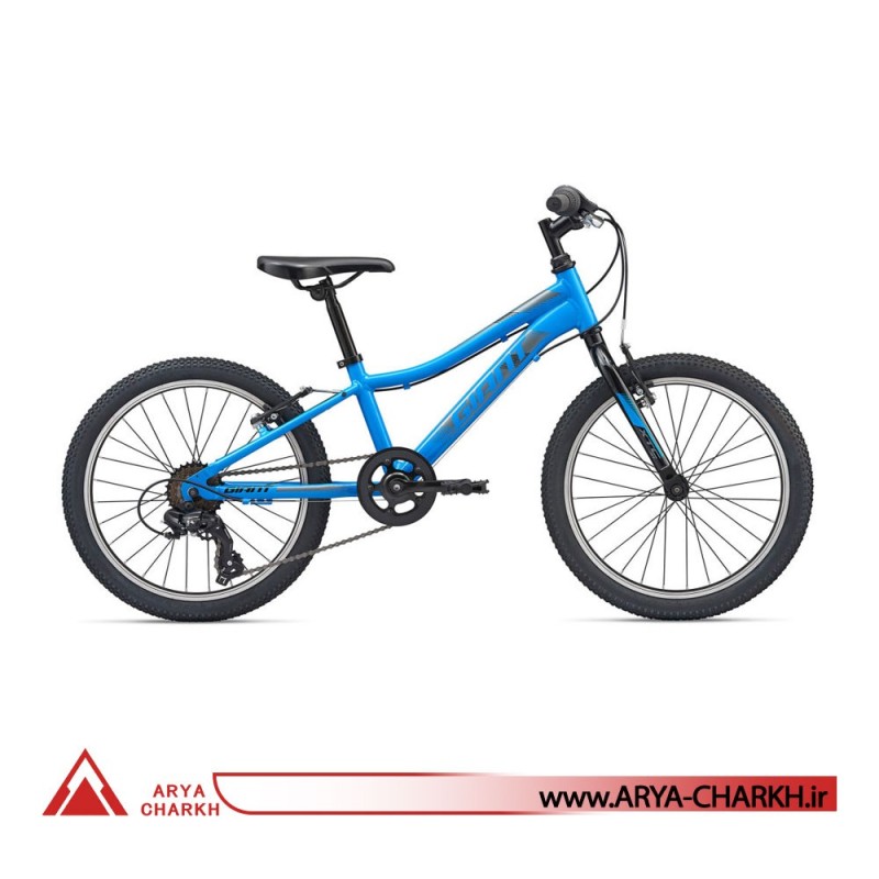 دوچرخه کوهستان کودک جاینت ایکس تی سی سایز 20 (GIANT XTC JR 20 LITE (2020