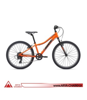 دوچرخه کوهستان کودک جاینت ایکس تی سی سایز 24 (GIANT XTC JR 24 LITE (2020