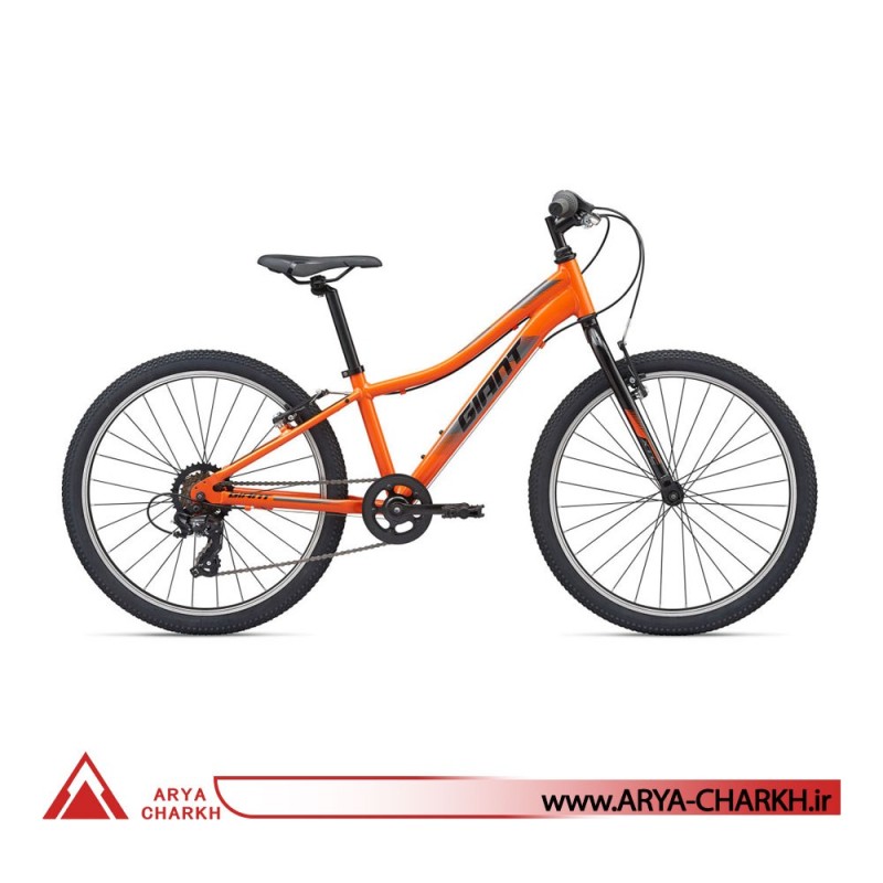 دوچرخه کوهستان کودک جاینت ایکس تی سی سایز 24 (GIANT XTC JR 24 LITE (2020