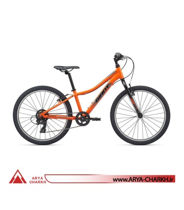 دوچرخه کوهستان کودک جاینت ایکس تی سی سایز 24 (GIANT XTC JR 24 LITE (2020