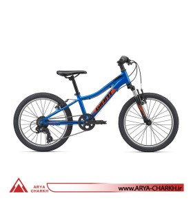 دوچرخه کوهستان کودک جاینت ایکس تی سی سایز 20 (GIANT XTC JR 20 (2020