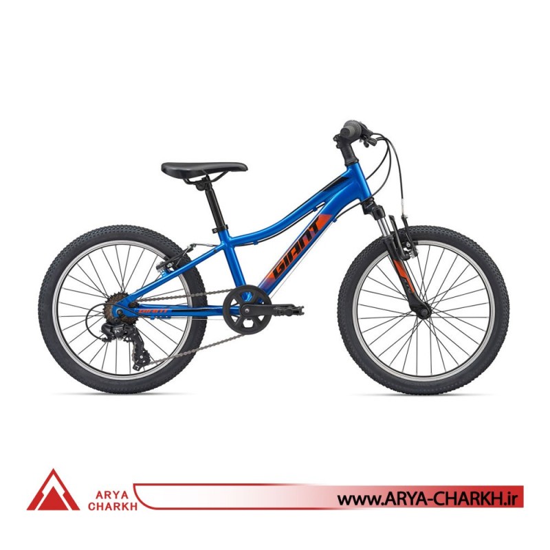 دوچرخه کوهستان کودک جاینت ایکس تی سی سایز 20 (GIANT XTC JR 20 (2020
