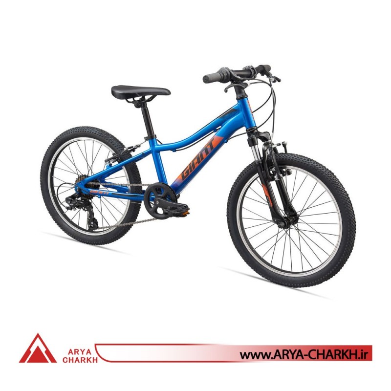 دوچرخه کوهستان کودک جاینت ایکس تی سی سایز 20 (GIANT XTC JR 20 (2020