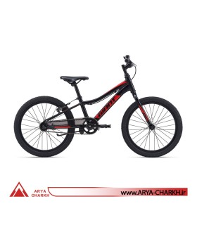 دوچرخه کوهستان کودک جاینت ایکس تی سی سایز 20 (GIANT XTC JR 20 C/B (2020