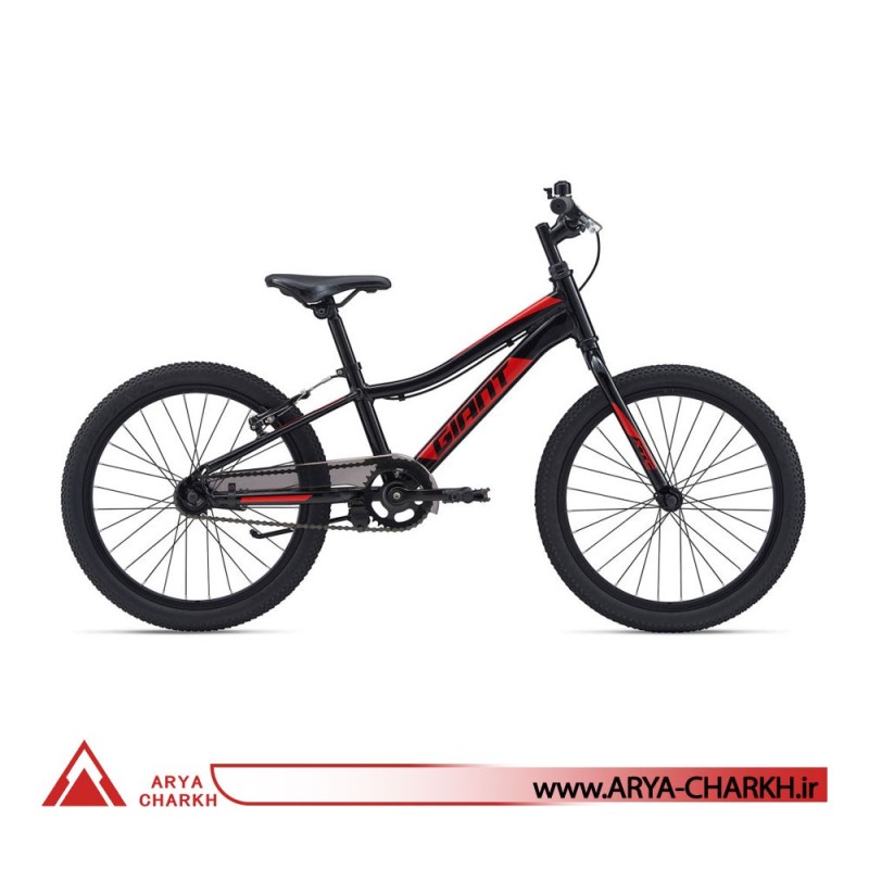 دوچرخه کوهستان کودک جاینت ایکس تی سی سایز 20 (GIANT XTC JR 20 C/B (2020