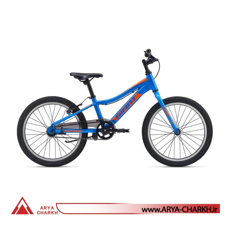 دوچرخه کوهستان کودک جاینت ایکس تی سی سایز 20 (GIANT XTC JR 20 C/B (2020
