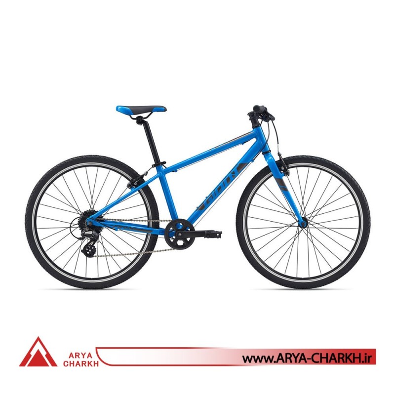 دوچرخه کوهستان جاینت ای تی ایکس سایز 26  (GIANT ARX 26  (2020