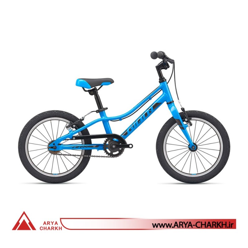 دوچرخه کوهستان جاینت ای ار ایکس سایز 16  (GIANT ARX 16 F/W  (2020