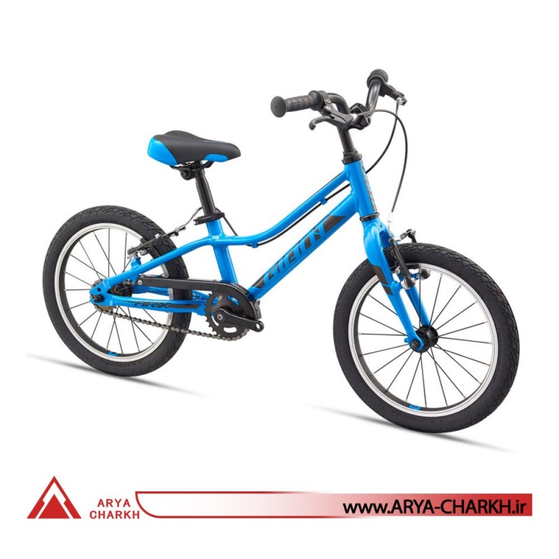 دوچرخه کوهستان جاینت ای ار ایکس سایز 16  (GIANT ARX 16 F/W  (2020