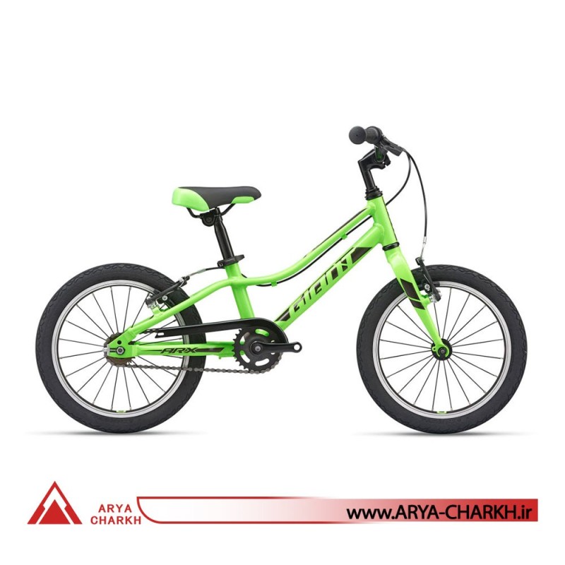 دوچرخه کوهستان جاینت ای ار ایکس سایز 16  (GIANT ARX 16 F/W  (2020