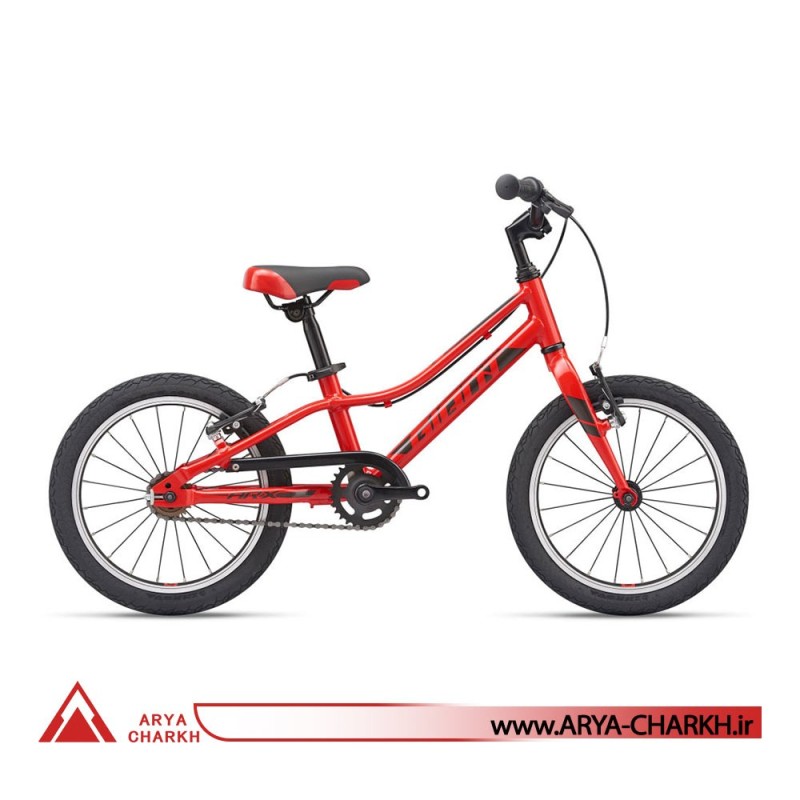 دوچرخه کوهستان جاینت ای ار ایکس سایز 16  (GIANT ARX 16 F/W  (2020