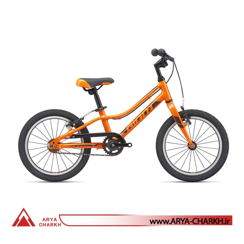 دوچرخه کوهستان جاینت ای ار ایکس سایز 16  (GIANT ARX 16 F/W  (2020