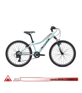 دوچرخه کوهستان کودک جاینت ایکس تی سی سایز 24 (GIANT XTC JR 24 (2020