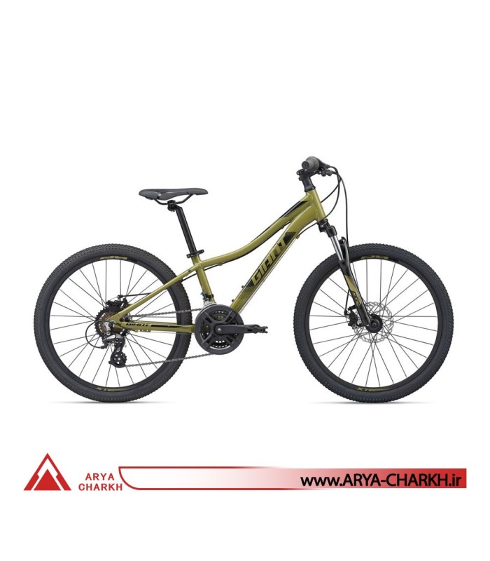 دوچرخه کوهستان کودک جاینت ایکس تی سی سایز 24 (GIANT XTC JR DISC 24 (2020