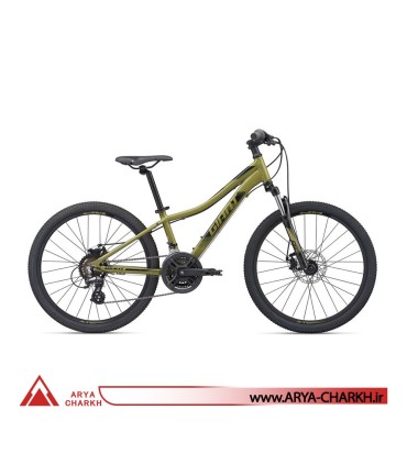 دوچرخه کوهستان کودک جاینت ایکس تی سی سایز 24 (GIANT XTC JR DISC 24 (2020