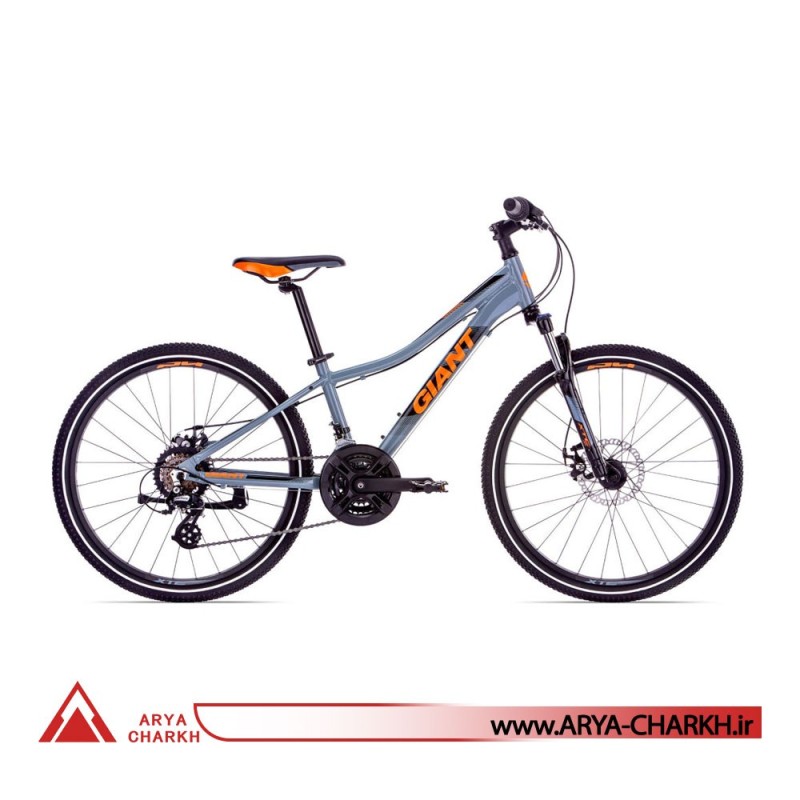 دوچرخه کوهستان کودک جاینت ایکس تی سی سایز 24 (GIANT XTC JR DISC 24 (2020