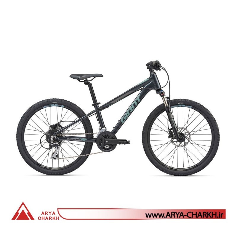 دوچرخه کوهستان کودک جاینت ایکس تی سی سایز 24 (GIANT XTC SL JR 24 (2020