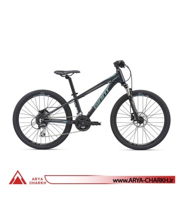 دوچرخه کوهستان کودک جاینت ایکس تی سی سایز 24 (GIANT XTC SL JR 24 (2020