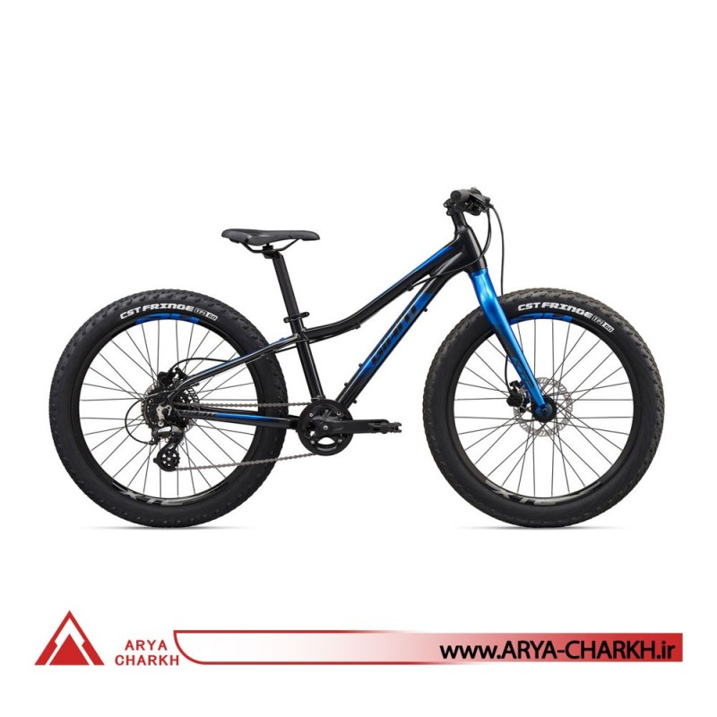 دوچرخه کوهستان کودک جاینت ایکس تی سی سایز 24+ (GIANT XTC JR 24 + (2020