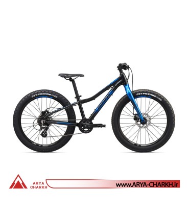 دوچرخه کوهستان کودک جاینت ایکس تی سی سایز 24+ (GIANT XTC JR 24 + (2020