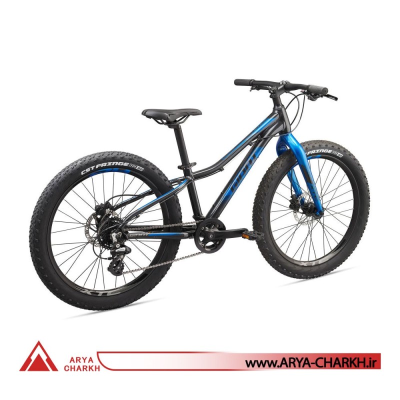 دوچرخه کوهستان کودک جاینت ایکس تی سی سایز 24+ (GIANT XTC JR 24 + (2020
