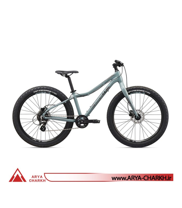 دوچرخه کوهستان جاینت ایکس تی سی سایز 26+ (GIANT XTC JR 26 + (2020