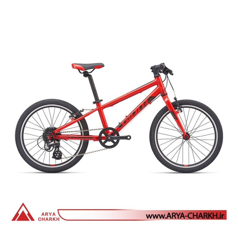 دوچرخه کوهستان جاینت ای ار ایکس سایز 20  (GIANT ARX 20  (2020
