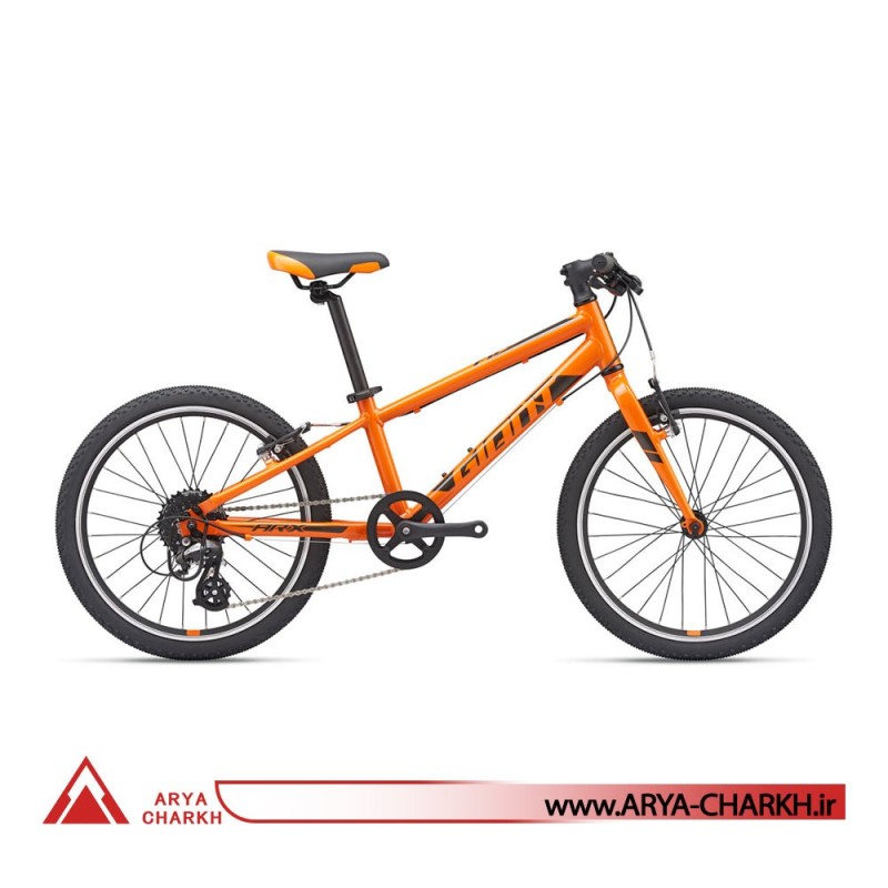دوچرخه کوهستان جاینت ای ار ایکس سایز 20  (GIANT ARX 20  (2020