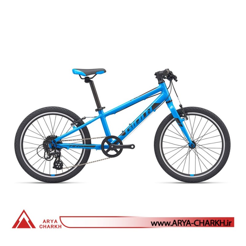 دوچرخه کوهستان جاینت ای ار ایکس سایز 20  (GIANT ARX 20  (2020