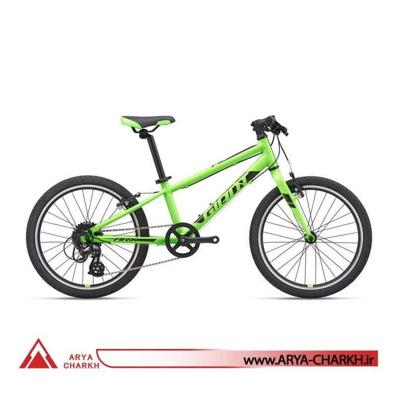 دوچرخه کوهستان جاینت ای ار ایکس سایز 20  (GIANT ARX 20  (2020
