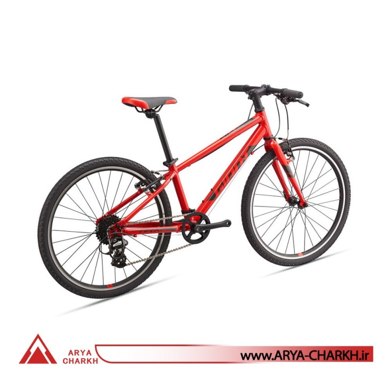 دوچرخه کوهستان جاینت ای ار ایکس سایز 24  (GIANT ARX 24  (2020