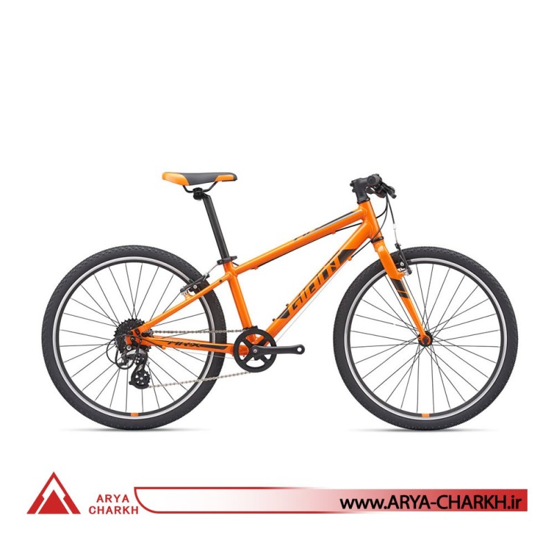 دوچرخه کوهستان جاینت ای ار ایکس سایز 24  (GIANT ARX 24  (2020