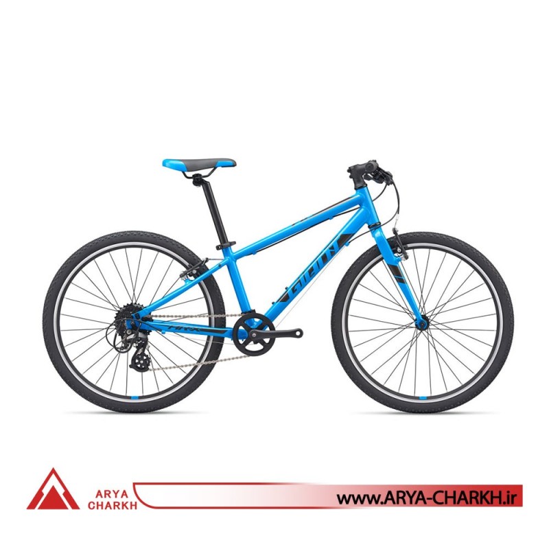 دوچرخه کوهستان جاینت ای ار ایکس سایز 24  (GIANT ARX 24  (2020