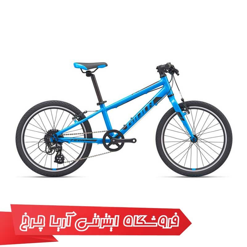دوچرخه-کودک-جاینت-مدل-ای-آر-ایکس-20-Giant-ARX-20-2021