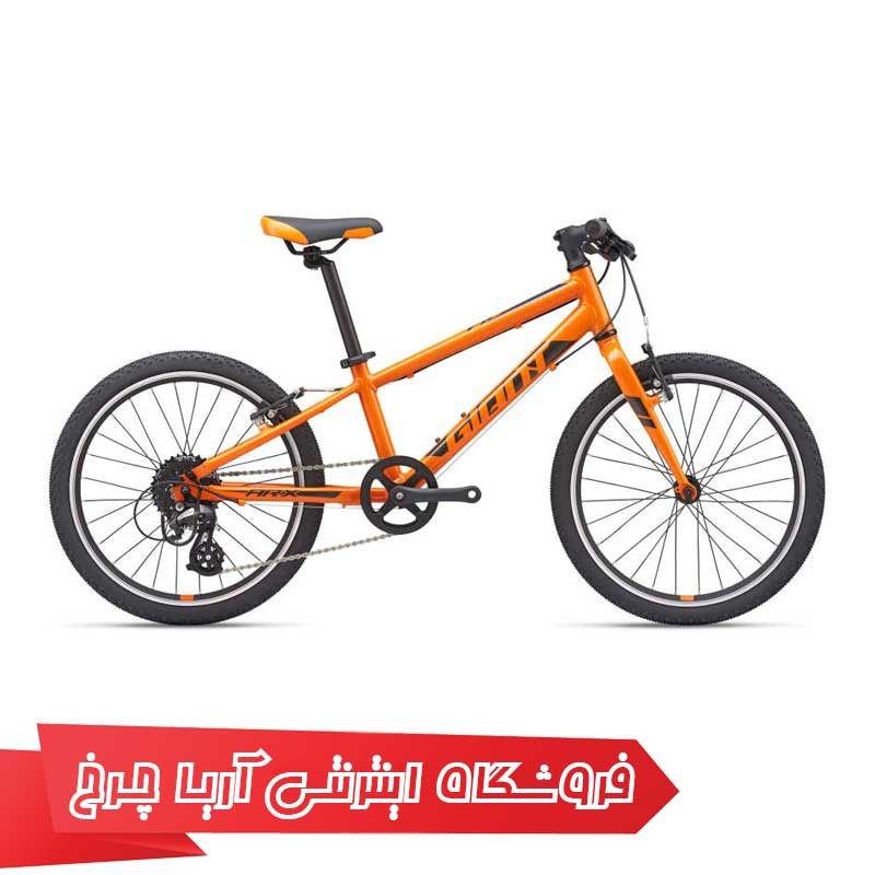 دوچرخه-کودک-جاینت-مدل-ای-آر-ایکس-20-Giant-ARX-20-2021