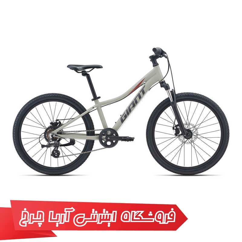 دوچرخه-کودک-جاینت-مدل-ایکس-تی-سی-جی-آر-دیسک-24-Giant-XTC-JR-Disc-24-2021