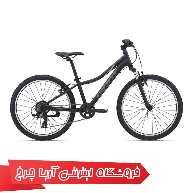 دوچرخه-کودک-جاینت-مدل-ایکس-تی-سی-جی-آر-24-Giant-XTC-JR-24-2021