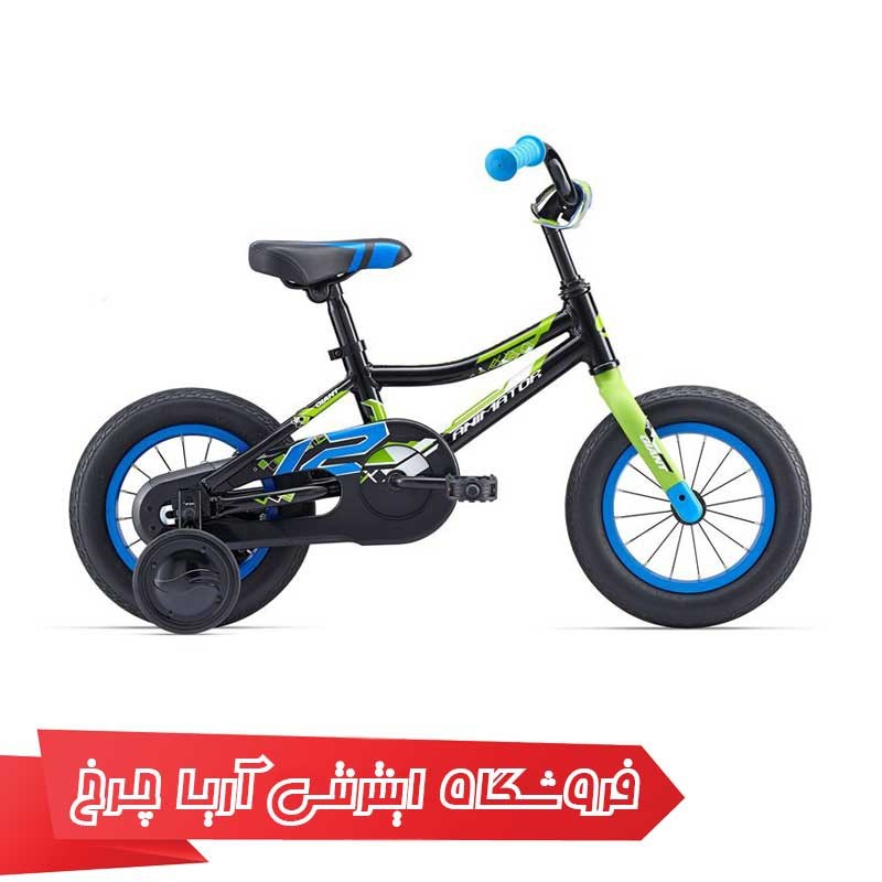دوچرخه کودک جاینت مدل انیماتور اف/دبلیو 12 |(2015) Giant Animator F/W 12