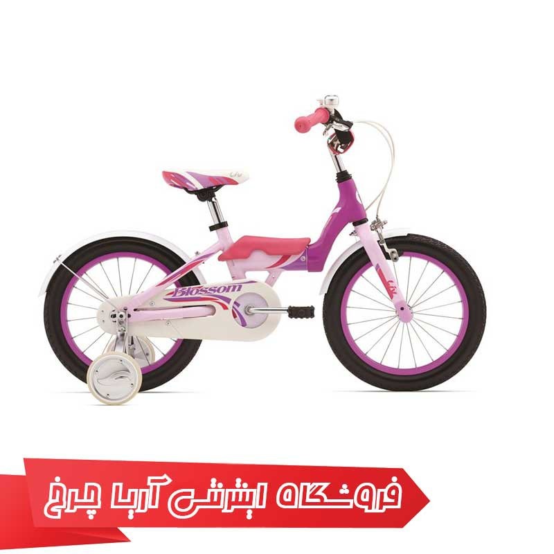دوچرخه کودک جاینت مدل بلسِم 16 |(2015) Giant Blessom 16