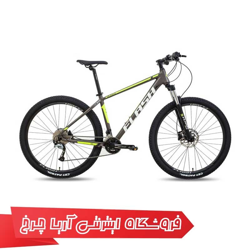 دوچرخه فلش سایز 29 مدل تیم 3|(Flash Team 3 (2020