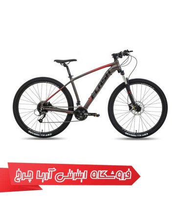 دوچرخه-فلش-سایز-29-مدل-تیم-6-Flash-Team-6-2020